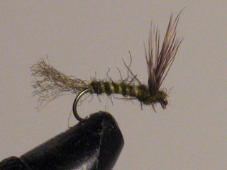 10 Assorted Hand Tied Dry Flies of The Yellowstone for Fly Fishing
